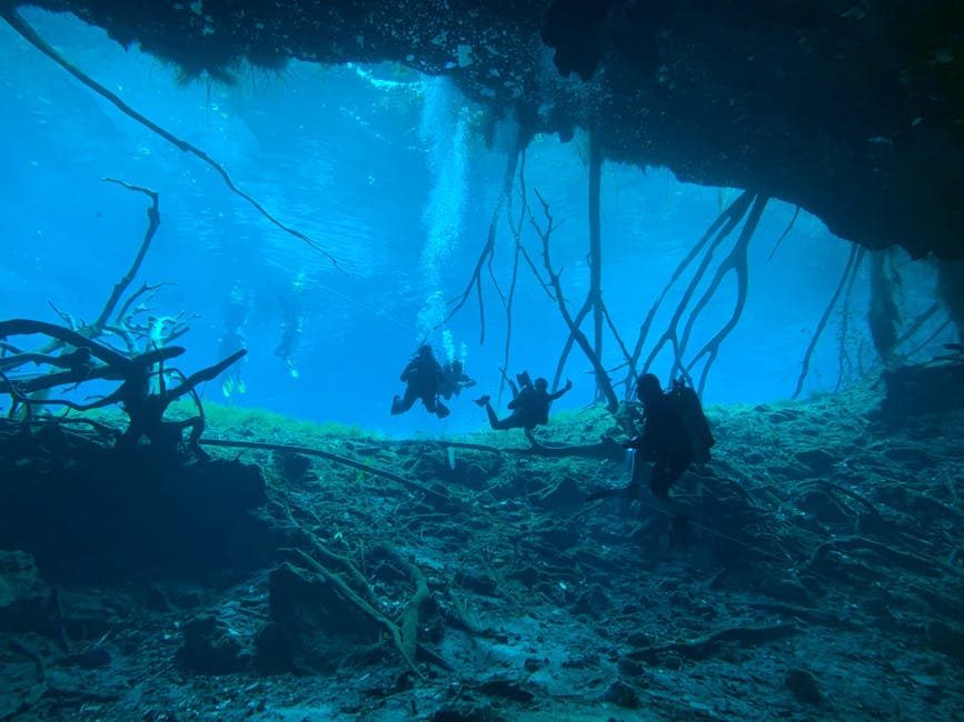 Cenotes (Yucatán Peninsula)