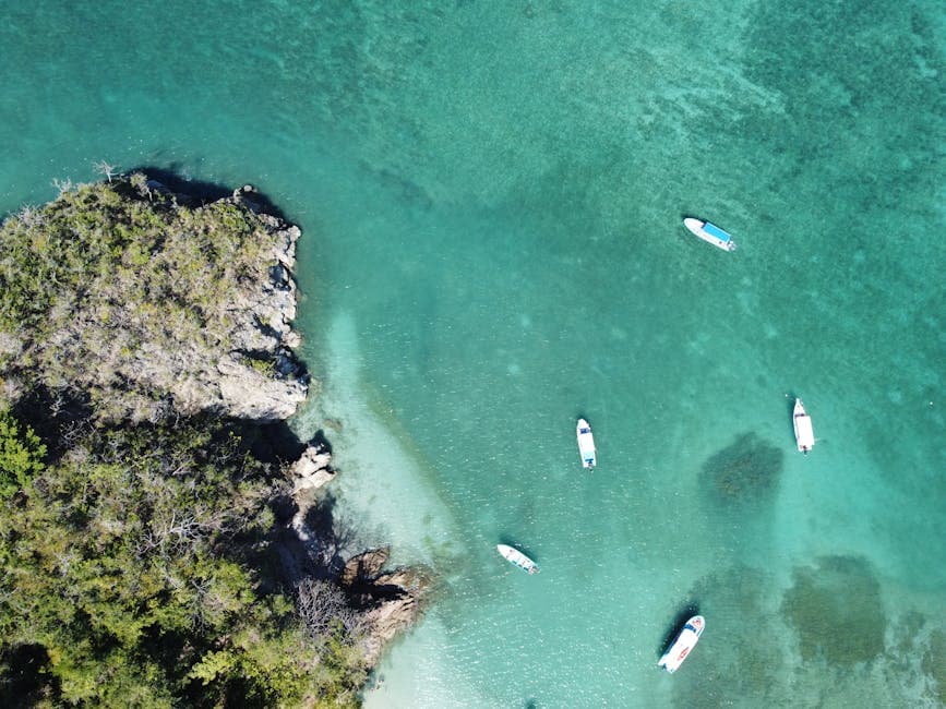 Cocos Island - Photo 5