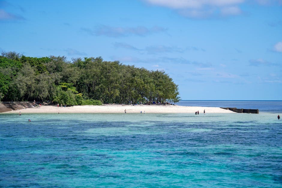 Great Barrier Reef - Photo 6