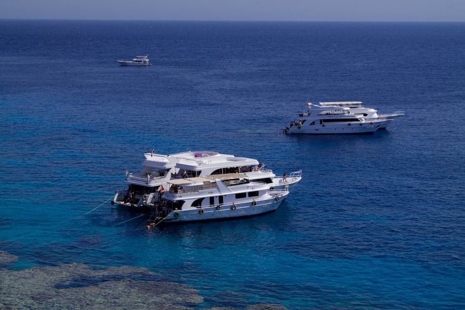 Sharm El Sheikh - Photo 1